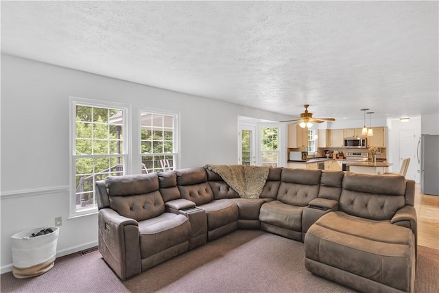 406 Pin Oak Ct, Coraopolis, PA 15108 - living area featuring healthy amount of natural light, a textured ceiling, ceiling fan, and light colored carpet