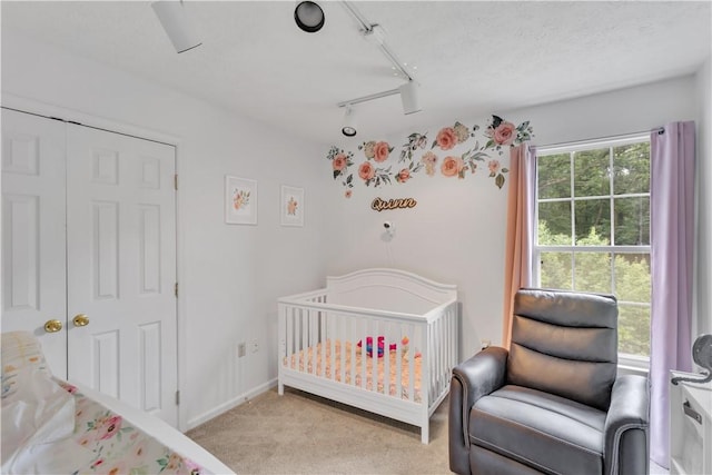 406 Pin Oak Ct, Coraopolis, PA 15108 - bedroom featuring light carpet, rail lighting, and a crib