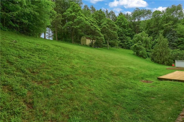156 Dwellington Dr, Middlesex Twp, PA 16059 - view of green lawn with a storage unit and a forest view