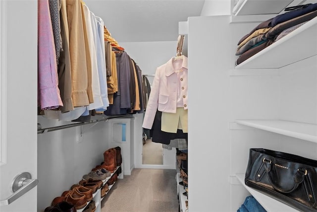 140 Golfview Dr, Adams Twp, PA 15044 - spacious closet featuring carpet