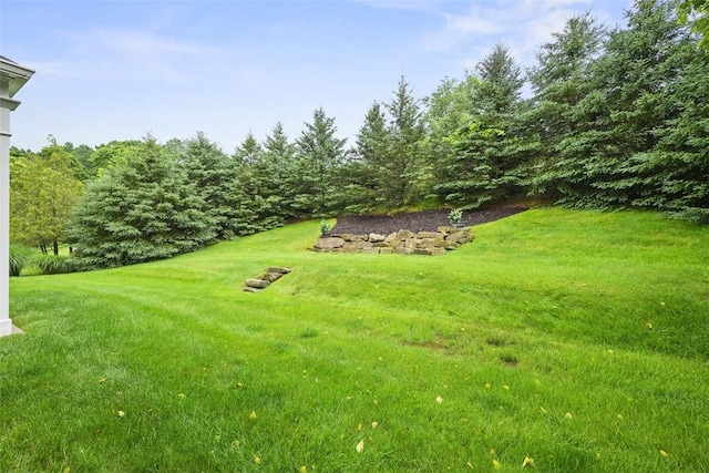 140 Golfview Dr, Adams Twp, PA 15044 - view of grassy yard