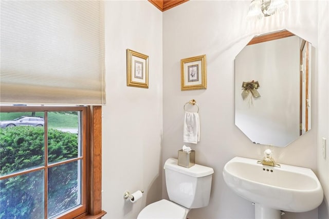 1386 Royal Oak Dr, Marshall, PA 15090 - half bath featuring toilet and a sink