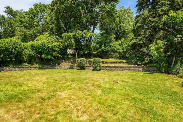 129 Temona Dr, Pleasant Hills, PA 15236 - view of green lawn