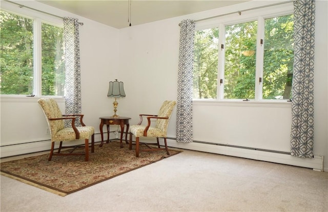 7 Mcdowell, Ligonier Twp, PA 15658 - photo 17