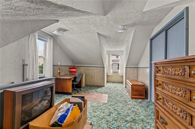 1908 Saint Paul St, South Side, PA 15203 - bonus room with a textured ceiling, lofted ceiling, carpet, a wainscoted wall, and wood walls