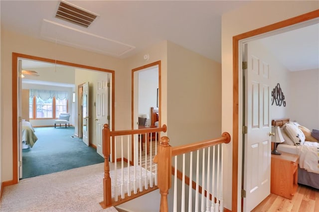 4014 Dickey Rd, Richland, PA 15044 - photo 21