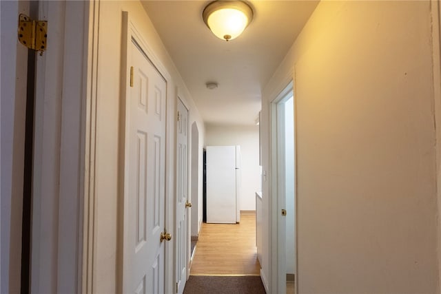 2341 Candace St, Beechview, PA 15216 - hall with baseboards