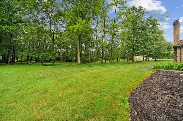 101 Blackthorn Dr, Penn Twp But, PA 16002 - view of green lawn