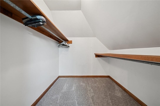 101 Blackthorn Dr, Penn Twp But, PA 16002 - walk in closet featuring carpet flooring and vaulted ceiling
