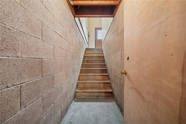101 Blackthorn Dr, Penn Twp But, PA 16002 - stairway with concrete block wall