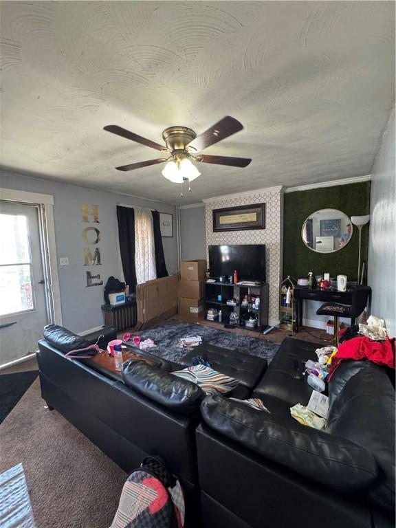 200 Jarvis St, Aliquippa, PA 15001 - living room with ceiling fan, carpet, and a textured ceiling