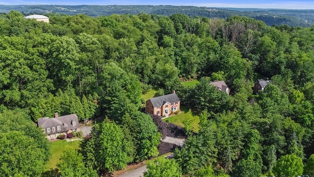 609 Twin Pine Rd, Fox Chapel, PA 15215 - bird's eye view of a forest