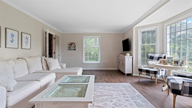 609 Twin Pine Rd, Fox Chapel, PA 15215 - living area featuring healthy amount of natural light, wood finished floors, and ornamental molding