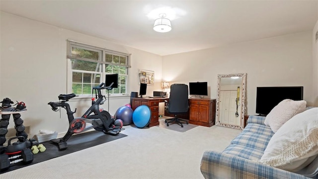 609 Twin Pine Rd, Fox Chapel, PA 15215 - home office with light colored carpet