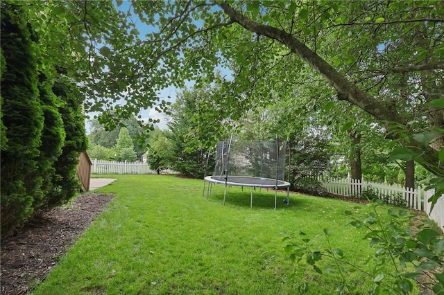 1904 Colonial Dr, Franklin Park, PA 15143 - photo 37