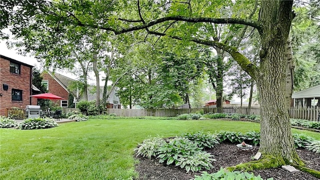 217 Monroe Dr, Ross Twp, PA 15229 - view of yard