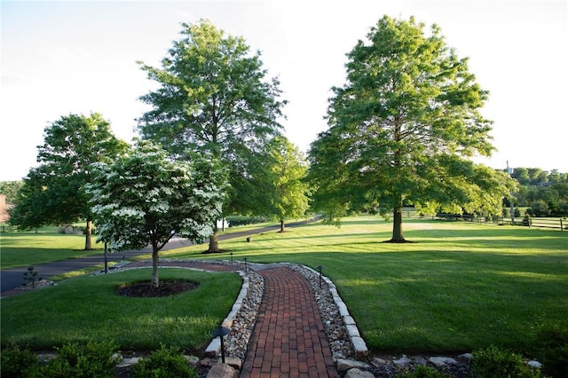 255 Camp Run Rd, Lancaster Twp, PA 16037 - view of property's community featuring a yard