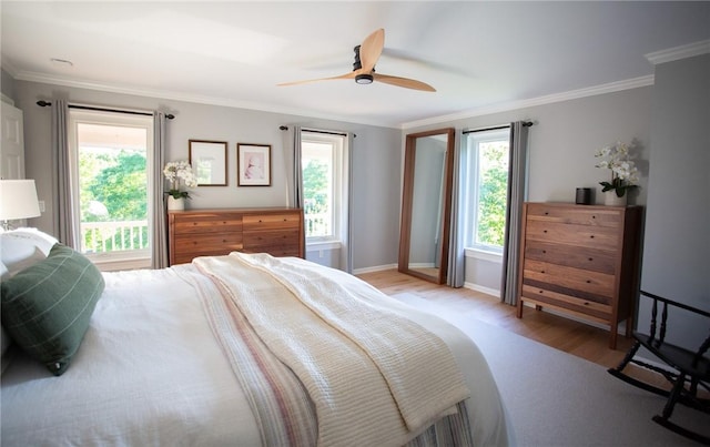 255 Camp Run Rd, Lancaster Twp, PA 16037 - bedroom with light wood finished floors, crown molding, multiple windows, and a ceiling fan