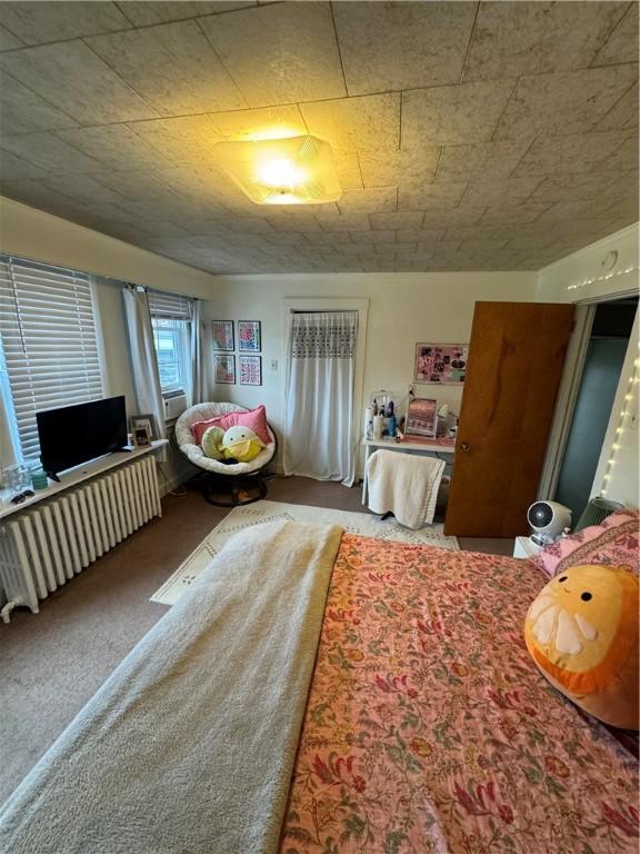 3347 Juliet St, Oakland, PA 15213 - bedroom featuring radiator and carpet flooring