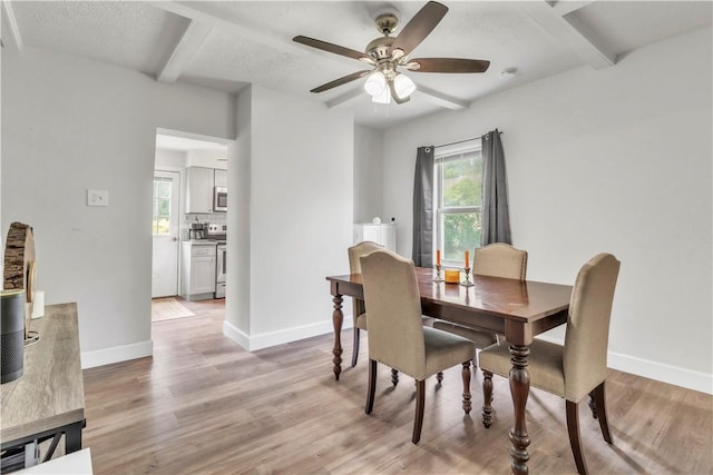 18 Allegheny Ave, South Fayette, PA 15031 - dining area featuring beamed ceiling, light wood-type flooring, and a ceiling fan