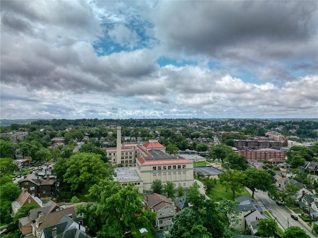 2267 Tilbury Ave, Squirrel Hill, PA 15217 - bird's eye view of a tree filled landscape