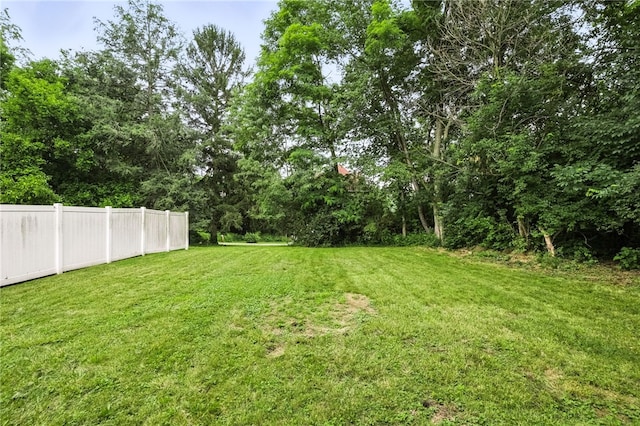 1114 Ellopia St, Chartiers City, PA 15204 - view of yard