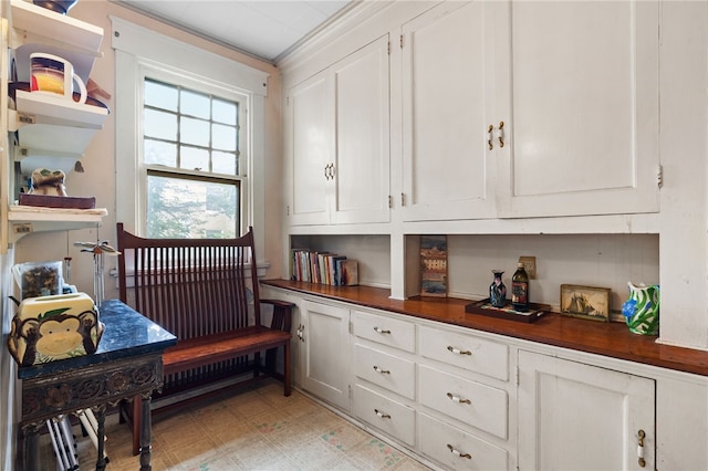6517 Aylesboro Ave, Squirrel Hill, PA 15217 - interior space with white cabinetry, light flooring, and open shelves