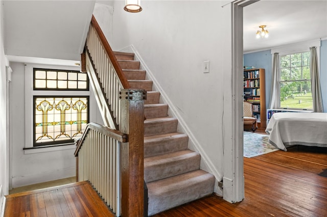 6517 Aylesboro Ave, Squirrel Hill, PA 15217 - stairs with hardwood / wood-style floors