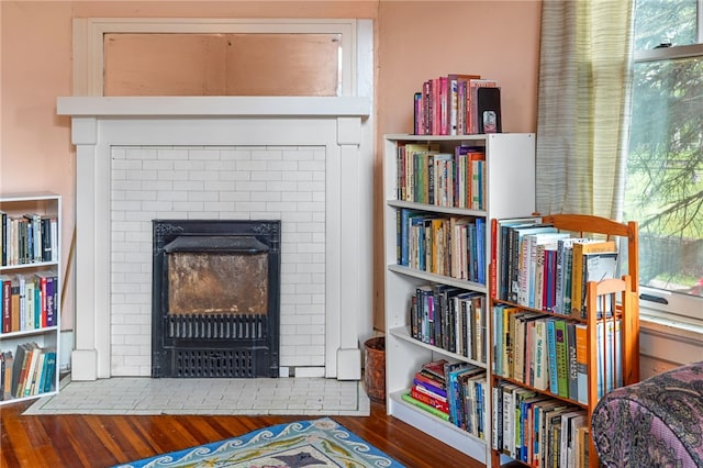 6517 Aylesboro Ave, Squirrel Hill, PA 15217 - detailed view of wood finished floors and a fireplace