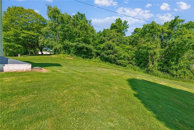 27 Richeyville Rd, Centerville, PA 15358 - view of green lawn