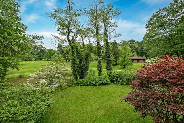 117 Oak Dr, Forward Twp But, PA 16033 - view of grassy yard