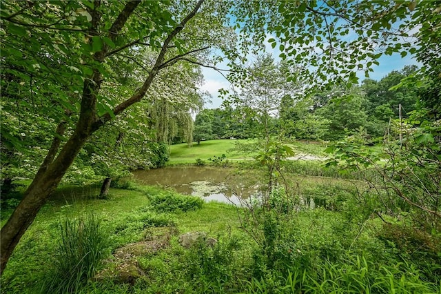 117 Oak Dr, Forward Twp But, PA 16033 - view of undeveloped land with a nearby body of water