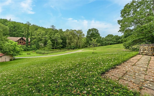 117 Oak Dr, Forward Twp But, PA 16033 - view of green lawn