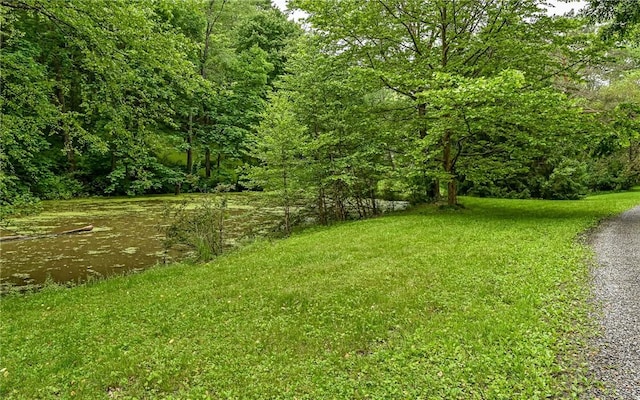 117 Oak Dr, Forward Twp But, PA 16033 - view of green lawn featuring a view of trees and a water view
