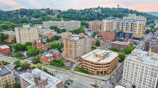 220 N Dithridge St Unit 1001, Oakland, PA 15213 - view of urban area