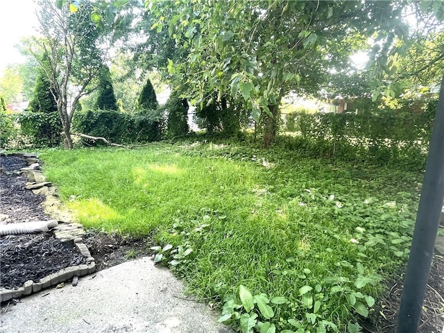 516 Division Ave, Bellevue, PA 15202 - view of yard
