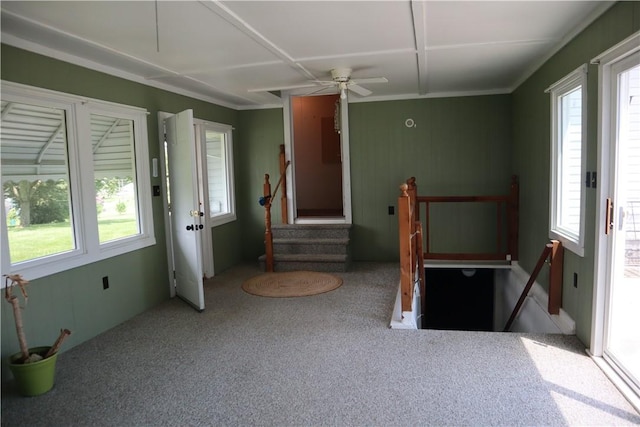 115 Pike Ave, North Beaver Twp, PA 16102 - unfurnished bedroom featuring multiple windows and carpet floors