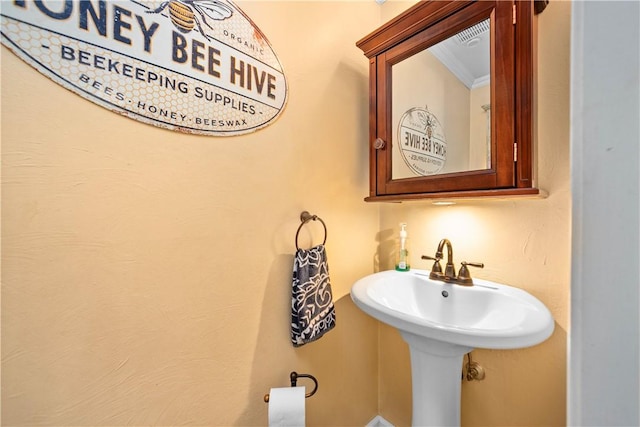 301 Holland Ct, Findlay Twp, PA 15108 - bathroom featuring ornamental molding and a sink