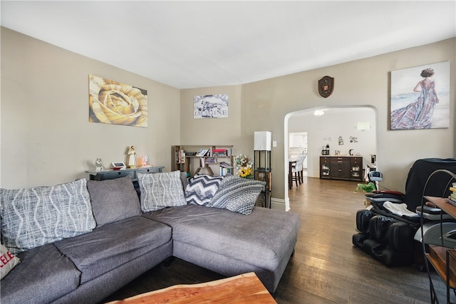 302 Midland Ave, Carnegie, PA 15106 - living room featuring wood finished floors and arched walkways