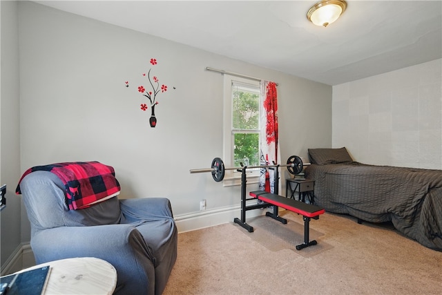 302 Midland Ave, Carnegie, PA 15106 - workout room featuring carpet flooring and baseboards
