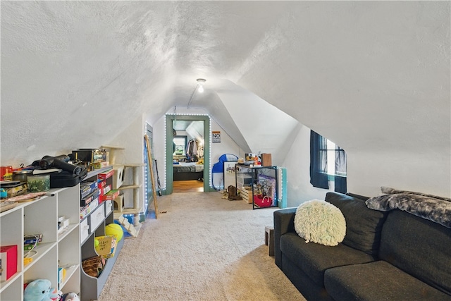 302 Midland Ave, Carnegie, PA 15106 - playroom with carpet, a textured ceiling, and lofted ceiling