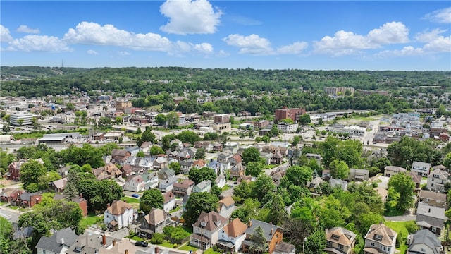 302 Midland Ave, Carnegie, PA 15106 - aerial view of residential area