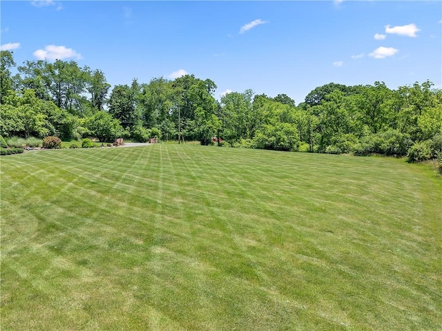548 Lang Rd, Sewickley Heights, PA 15143 - view of grassy yard