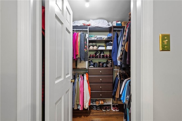 1061 Apple Hill Ln, Mccandless, PA 15101 - spacious closet with wood finished floors