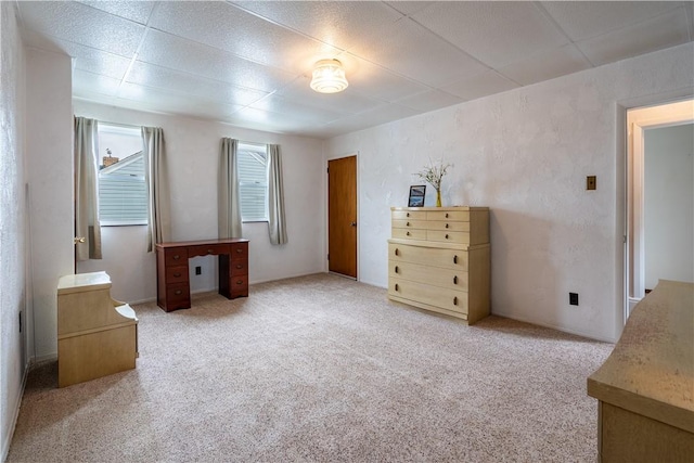 2509 Spring St, Arlington, PA 15210 - bedroom with carpet and a paneled ceiling