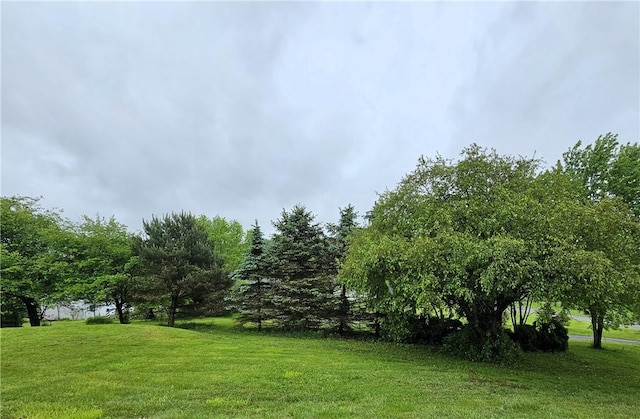946 Herman Rd, Summit Twp But, PA 16002 - view of grassy yard