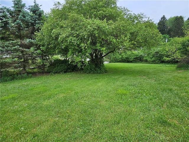 946 Herman Rd, Summit Twp But, PA 16002 - view of grassy yard
