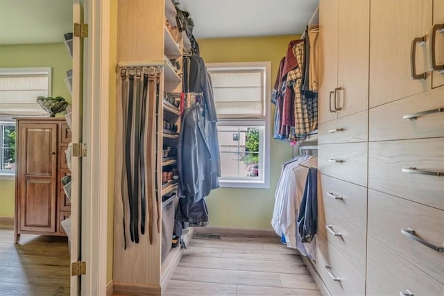 2616 Chalet Ln, South Park, PA 15129 - walk in closet featuring light wood-style flooring