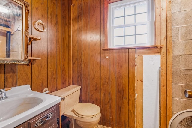 4627 Water Level Rd, Milford Twp, PA 15557 - bathroom with wooden walls and vanity