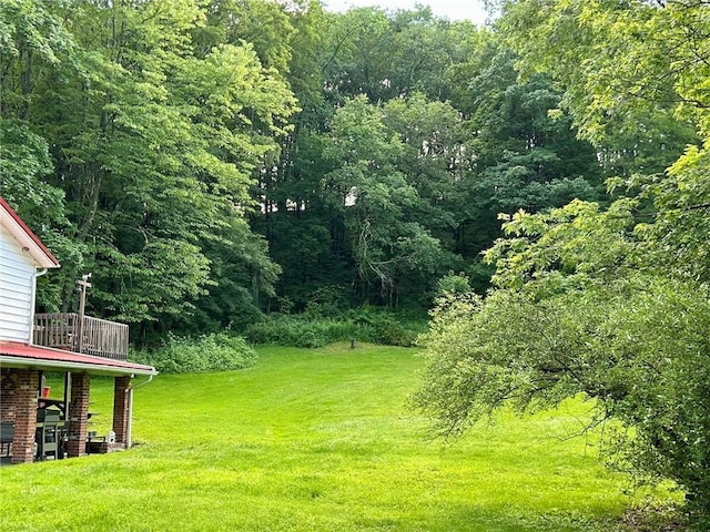 4627 Water Level Rd, Milford Twp, PA 15557 - view of grassy yard featuring a wooded view